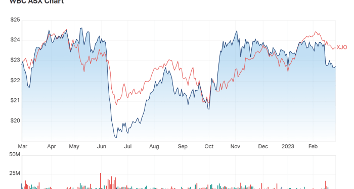 What percentage of retail investors hold Australia’s big 4 banks?